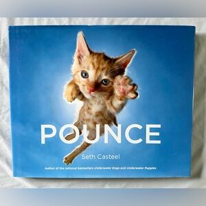 Pounce by Seth Casteel Hardcover Cat Photography Book